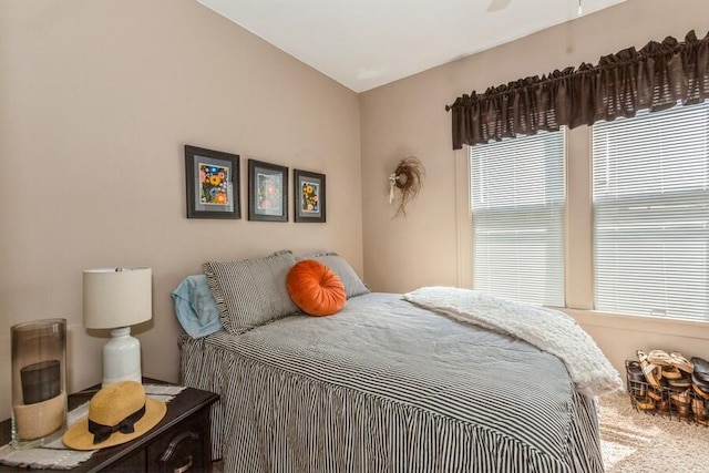927 Harrison Ave, Saint Joseph, MI 49085 - view of carpeted bedroom