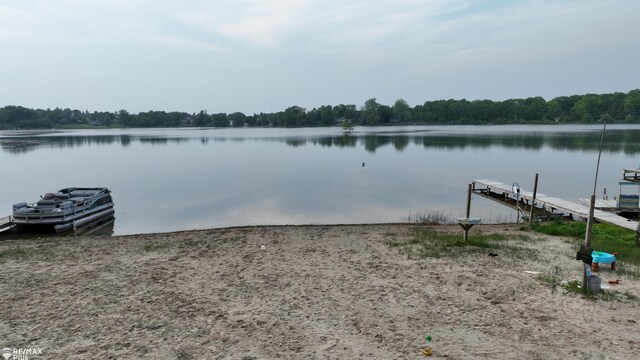 2047 Hickory Dr, Lapeer, MI 48446 - photo 55