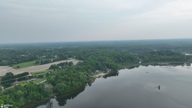 2047 Hickory Dr, Lapeer, MI 48446 - photo 60
