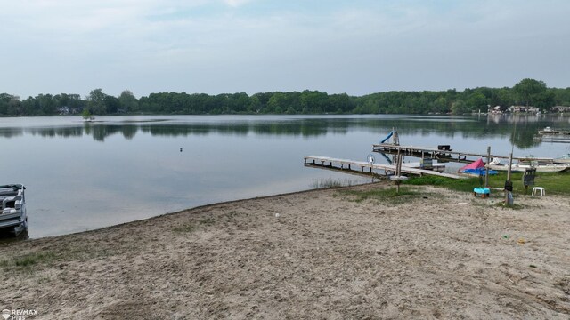 2047 Hickory Dr, Lapeer, MI 48446 - photo 54