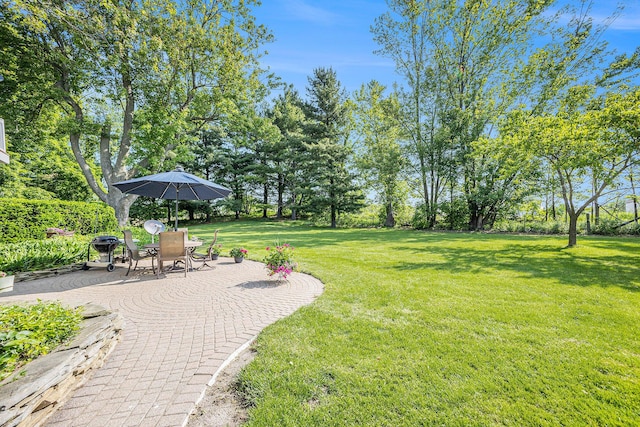 5700 Dexter Townhall Rd, Dexter, MI 48130 - view of green lawn with a patio, outdoor dining space, and view of scattered trees