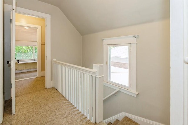 817 Harrison Ave, Saint Joseph, MI 49085 - corridor with an upstairs landing, lofted ceiling, carpet, and baseboards