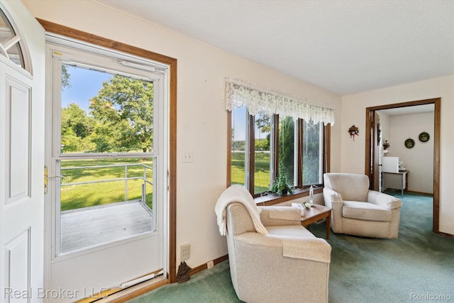 5740 M 66, East Leroy, MI 49051 - living area with carpet flooring and baseboards