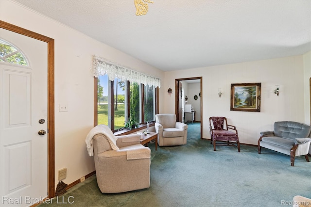 5740 M 66, East Leroy, MI 49051 - carpeted living area with plenty of natural light
