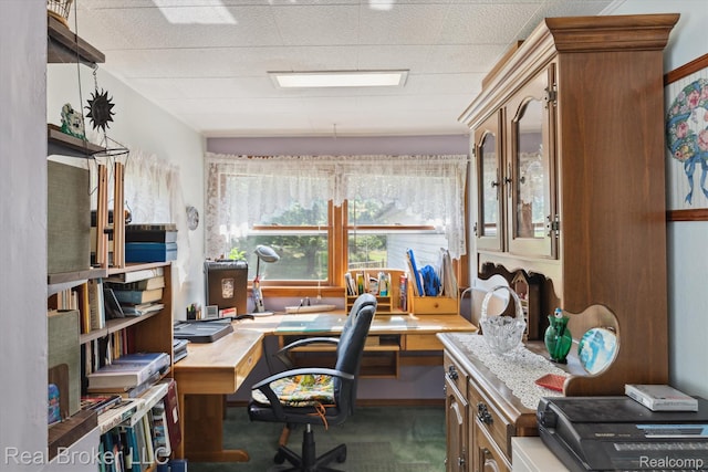 5740 M 66, East Leroy, MI 49051 - office with carpet
