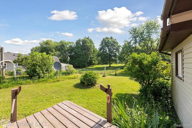 5740 M 66, East Leroy, MI 49051 - view of green lawn