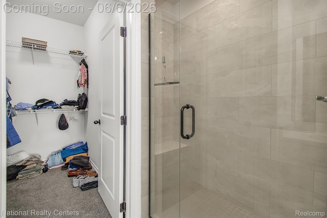 11801 Hines Place Dr, Livonia, MI 48150 - bathroom with a stall shower and a walk in closet