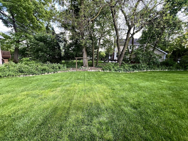 46860 Shelby Rd, Michigan, MI 48317 - view of green lawn
