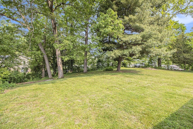 130 Woodway Ave, Battle Creek, MI 49014 - view of green lawn