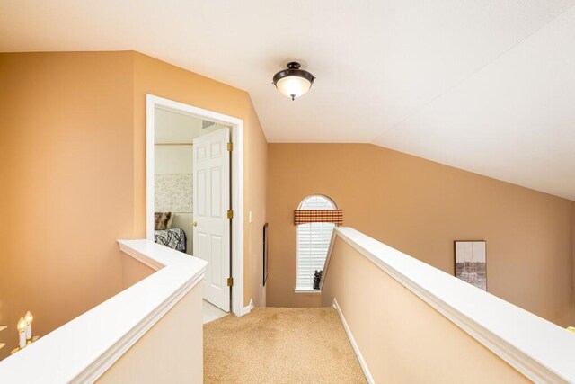 4953 Ravine Ct, Ann Arbor, MI 48105 - photo 38