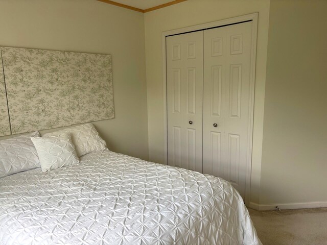 4953 Ravine Ct, Ann Arbor, MI 48105 - photo 34