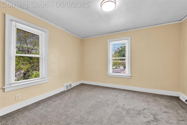 14953 Winthrop St, Detroit, MI 48227 - empty room featuring ornamental molding, carpet, baseboards, and a textured ceiling
