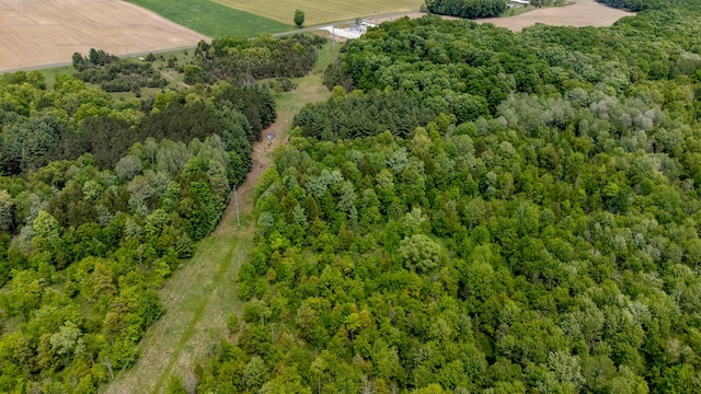 5125 S 148th Ave, Hesperia, MI 49421 - aerial view of a forest