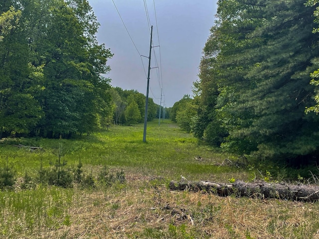 5125 S 148th Ave, Hesperia, MI 49421 - view of nature