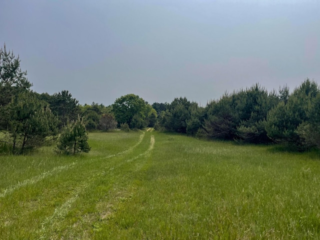 5125 S 148th Ave, Hesperia, MI 49421 - view of yard with a view of trees and a rural view