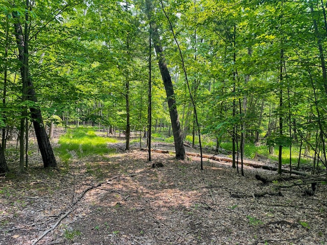 5125 S 148th Ave, Hesperia, MI 49421 - view of wooded area
