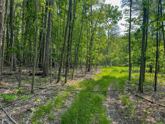 5125 S 148th Ave, Hesperia, MI 49421 - view of wooded area