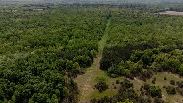 5125 S 148th Ave, Hesperia, MI 49421 - bird's eye view of a forest