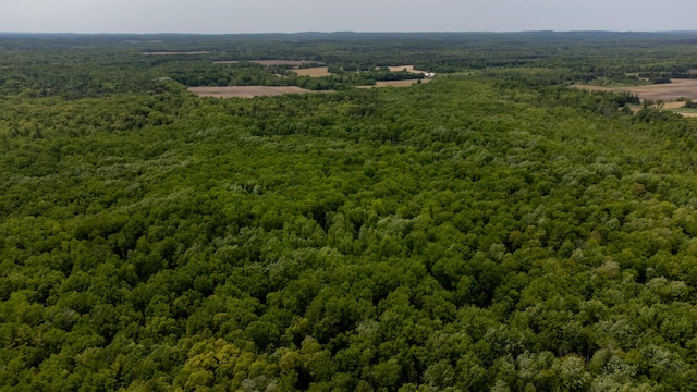 5125 S 148th Ave, Hesperia, MI 49421 - bird's eye view of a forest