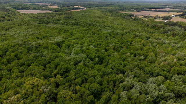 5125 S 148th Ave, Hesperia, MI 49421 - aerial view of a heavily wooded area