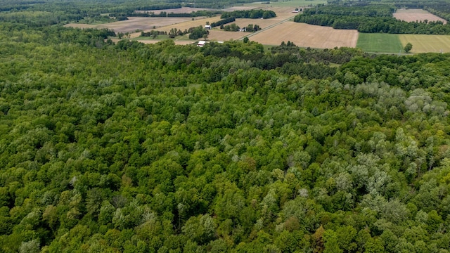 5125 S 148th Ave, Hesperia, MI 49421 - aerial view of a heavily wooded area
