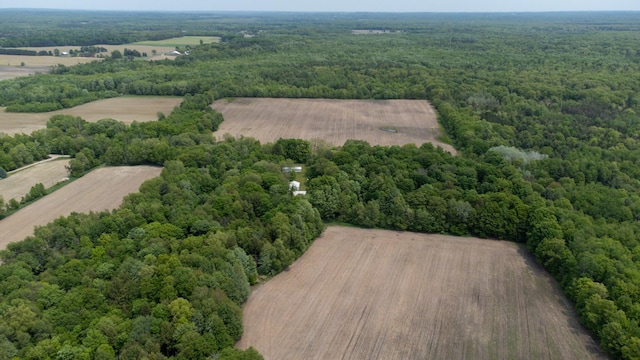 5125 S 148th Ave, Hesperia, MI 49421 - aerial view of sparsely populated area featuring a heavily wooded area