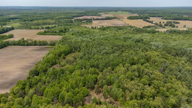 5125 S 148th Ave, Hesperia, MI 49421 - view of rural area with a forest