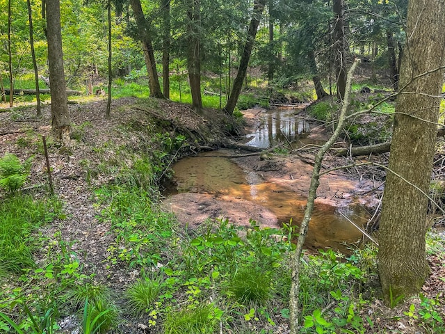 5125 S 148th Ave, Hesperia, MI 49421 - view of nature