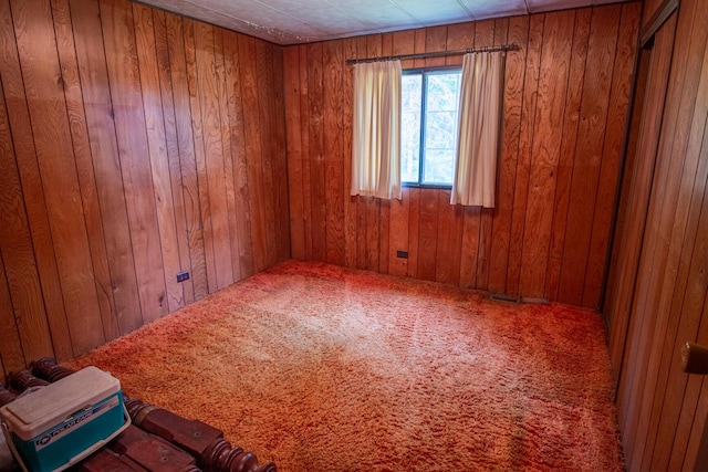 5125 S 148th Ave, Hesperia, MI 49421 - carpeted spare room with wood walls