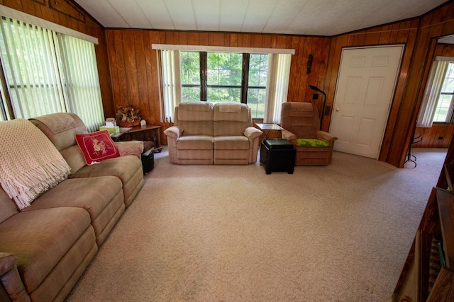 5125 S 148th Ave, Hesperia, MI 49421 - carpeted living room with wood walls and lofted ceiling