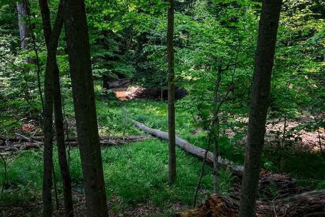 5125 S 148th Ave, Hesperia, MI 49421 - view of wooded area