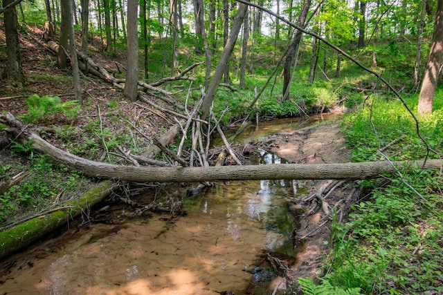 5125 S 148th Ave, Hesperia, MI 49421 - view of local wilderness