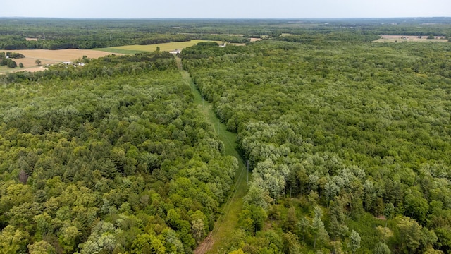 5125 S 148th Ave, Hesperia, MI 49421 - drone / aerial view of a forest