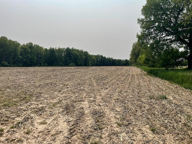 5125 S 148th Ave, Hesperia, MI 49421 - view of local wilderness with rural landscape