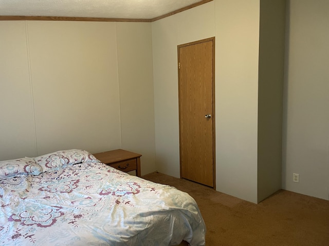 8295 Mccain Rd, Parma, MI 49269 - carpeted bedroom with a textured ceiling
