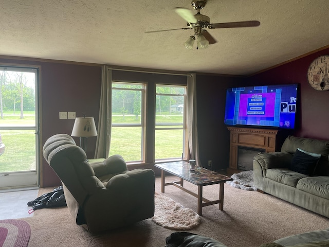 8295 Mccain Rd, Parma, MI 49269 - carpeted living area featuring a textured ceiling and a ceiling fan