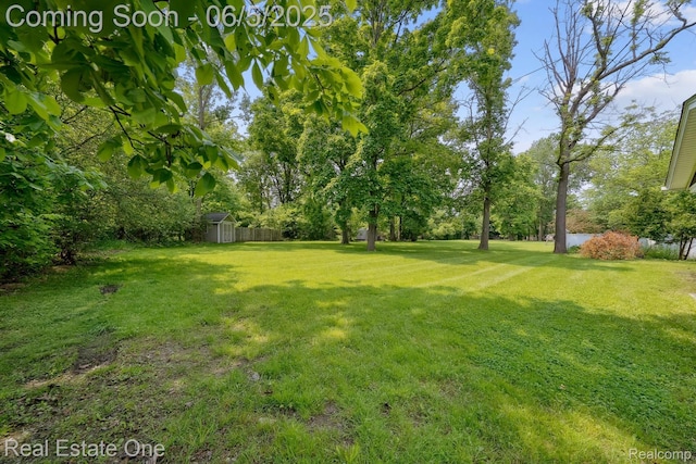 8921 Lake Rd, Grosse Ile, MI 48138 - view of green lawn with view of scattered trees