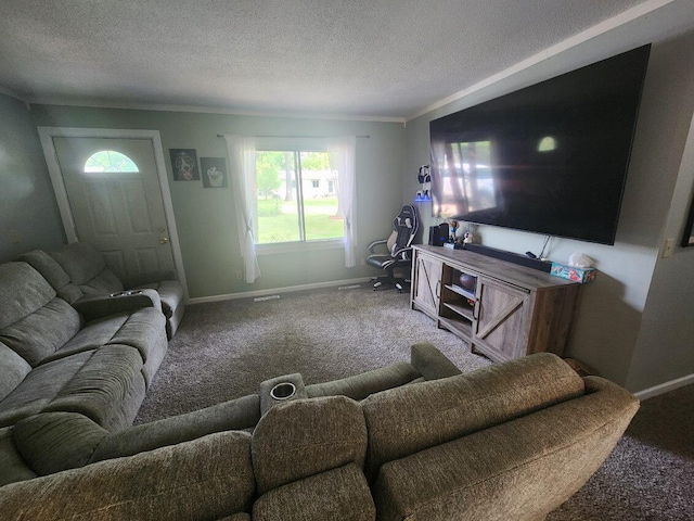 661 W Michigan Rd, Twin Lake, MI 49457 - carpeted living room with baseboards, a textured ceiling, and healthy amount of natural light