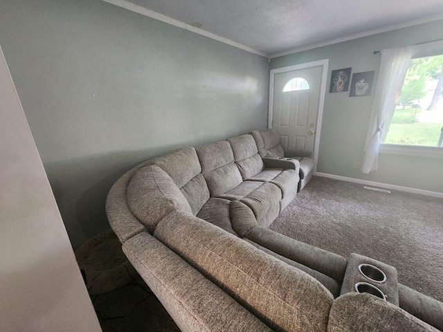 661 W Michigan Rd, Twin Lake, MI 49457 - living room featuring baseboards, crown molding, carpet flooring, and a textured ceiling
