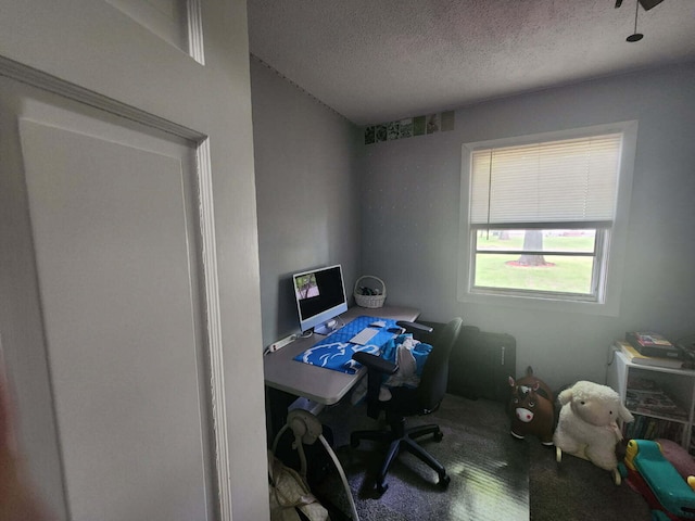 661 W Michigan Rd, Twin Lake, MI 49457 - carpeted office space featuring a textured ceiling