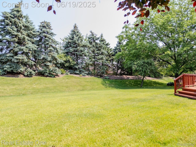15719 Greenview, Fraser, MI 48026 - view of green lawn featuring a deck