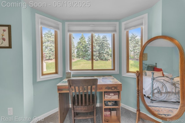 15719 Greenview, Fraser, MI 48026 - home office featuring baseboards