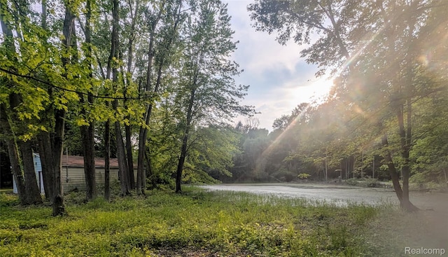15229 Longfellow Dr, Byron, MI 48418 - view of road with a water view and a view of trees