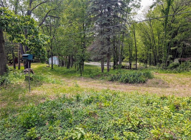 15229 Longfellow Dr, Byron, MI 48418 - view of yard with a view of trees