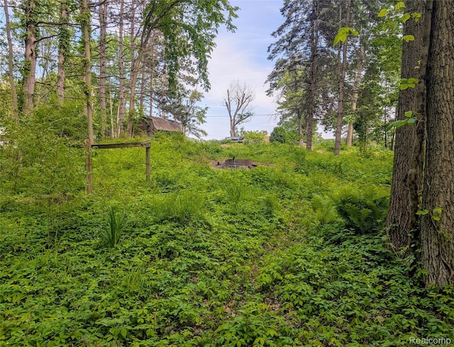 15229 Longfellow Dr, Byron, MI 48418 - view of yard