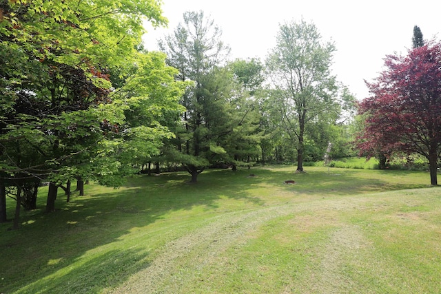 2524 N Mckinley Rd, Flushing, MI 48433 - view of green lawn