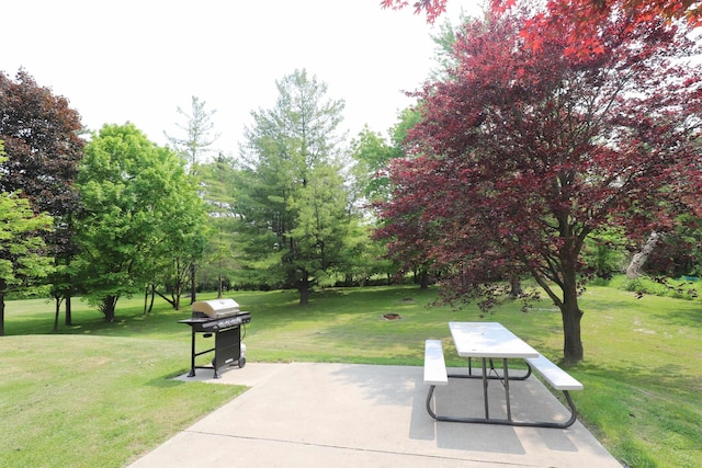 2524 N Mckinley Rd, Flushing, MI 48433 - view of property's community featuring a patio, a lawn, and view of scattered trees