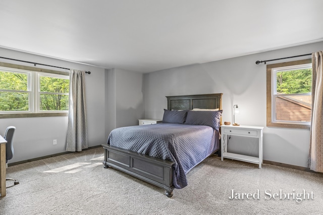 6872 Forest Valley Dr SE, Grand Rapids, MI 49546 - bedroom with carpet flooring, multiple windows, and baseboards