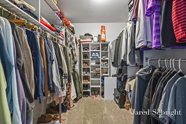 6872 Forest Valley Dr SE, Grand Rapids, MI 49546 - walk in closet featuring carpet floors