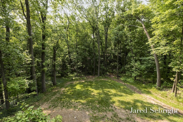 6872 Forest Valley Dr SE, Grand Rapids, MI 49546 - view of woods